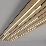 PAUL NEUHAUS LED plafonska svetiljka Q-Akustik pravougaona | Eponuda.com
