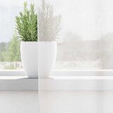 Voile zavjese s džepovima za šipke 2 kom bijele | shoptok.hr