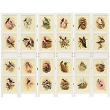  Romdivider Panel Bijelo 212 x 165 cm MDF | shoptok.hr