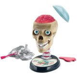  Znanstveni zabavni nori anatomijski komplet Clementoni 50697 | Shoptok.si