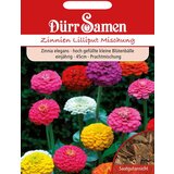 Dürr Samen cinije Lilliput | Shoptok.si