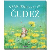 Učila Vsak izmed nas je čudež | Shoptok.si