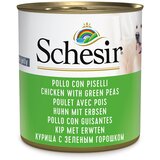Schesir Ekonomično pakiranje mokra hrana 12 x 285 g - Piletina s graškom Cijene