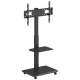 BIT FORCE okretni podni stalak za TV GUARD FS-75-S | shoptok.hr