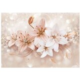  Samoljepljiva foto tapeta - Nymph's Bouquet 343x245 | shoptok.hr