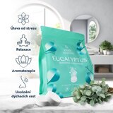 Body Restore Eucalyptus & Mint tablete za tuširanje 15 kom | shoptok.hr