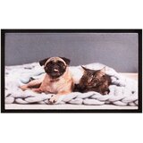  PREDPRAŽNIK IMAGE 012 MAČEK&PES 60X40 CM | Shoptok.si