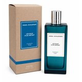 Angel Schlesser Les Eaux D'Un Instant Aromatic Sage Toaletna voda za moške 150 ml | Shoptok.si