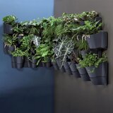 Prosperplast saksija kaskadna zidna 67x57cm u setu antracit | Eponuda.com