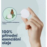 Body Restore Eucalyptus & Mint tablete za tuširanje 2x25 g | shoptok.hr