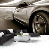  Tapeta - Speed and Elegance 100x70 Cijene