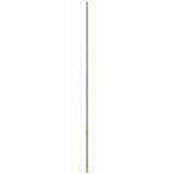  Vrata staje Prirodna 80 x 2 5 x 208 cm Masivna borovina - Prirodna 80 x 2 5 x 208 cm | shoptok.hr