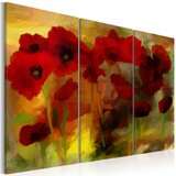  Slika - Sublime poppies 60x40 Cijene