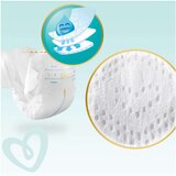Pampers pleničke za nedonošenčke premium care, < 2,5 kg, 30 kosov | Shoptok.si