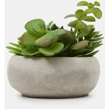 Sinsay Ukrasna umjetna biljka | shoptok.hr