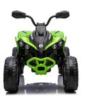 Lean_Toys Otroški štirikolesnik na baterijo 12V CAN-AM Renegate Zelena | Shoptok.si