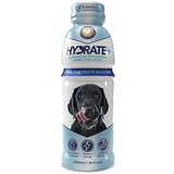 Macahl Animal Health oralade hydrate plus dog - tečna veterinarska dijeta za pse 500ml 5+1 gratis! | ePonuda.com