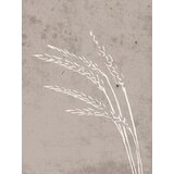 Venture Home poster Seeds 30 × 40 cm, bež | shoptok.hr