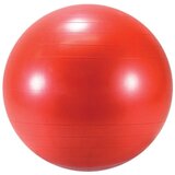 Gymnic Ledrapastic Lopta Body ball 55 Cene