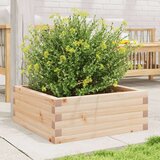  Vrtno cvetlično korito 60x60x23 cm trdna borovina | Shoptok.si