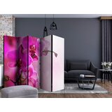 Artgeist PARAVAN 225/172/3 cm barve gozdnih sadežev, magenta Slike