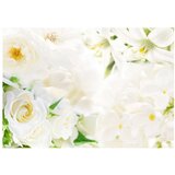  Tapeta - White sigh 300x210 | shoptok.hr