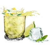 Altom design Ibiza Čaše za Piće 310 ml - Set od 6 Komada | shoptok.hr