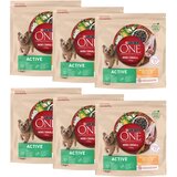 Purina ONE Mini Active piščanec in riž - Varčno pakiranje: 18 kg (12 x 1,5 kg) | shoptok.hr