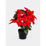 Sinsay DECORATIVE PLANT | shoptok.hr