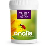 anatis Naturprodukte Ekstrakt koštica grožđa (OPC) + koenzim Q10 cijene