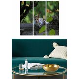 Wallity Set slika MDF3665680, 3 dijela | Eponuda.ba