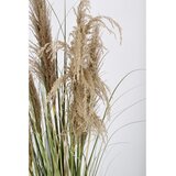 BIZZOTTO Umjetna biljka (visina 145 cm) Austorderia – | shoptok.hr