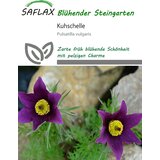 Saflax Navadni kosmatinec - 30 zrn. Cene