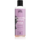 Urtekram soothing lavender šampon