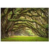  Tapeta - Tree embrace 200x140 | shoptok.hr