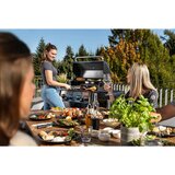 BROIL KING plinski žar broil king crown 490 (4 gorilniki, skupna moč 11,4 kw, 65 x 44 cm površina za peko) | Shoptok.si