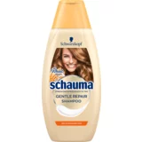 Schauma Gentle Repair Shampoo krepitven šampon za suhe in poškodovane lase za ženske