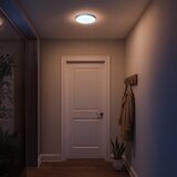  LED plafonska svetiljka za kupatilo MAYA LED/15W/230V, prečnika 33 cm, IP44, sjajni hrom | Eponuda.com