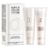 Sredstvo za uklanjanje boje s kose Renee Blanche Bheyse 2 x 100 ml – Repair Color System | Eponuda.ba