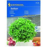 KIEPENKERL Profi-Line Sjeme začinskog bilja (Ocimum basilicum, Vrijeme sjetve: Veljača, Berba: Srpanj) | shoptok.hr
