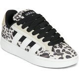 Adidas Nizke superge GC ALPHA SK8 Kostanjeva | Shoptok.si