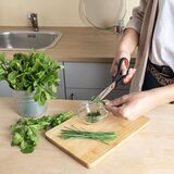  Kuhinjske Škare Quid Rico Crna Crvena Metal 21 cm (12 kom.) | shoptok.hr