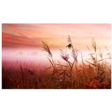  Tapeta - Morning meadow 450x270 | shoptok.hr