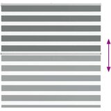 vidaXL Zebra senčilo temno sivo 150x150 cm tkanina širina 145,9 cm | Shoptok.si