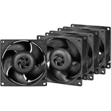 ARCTIC S8038-10K - 80 mm Server Fan - 4 Pieces