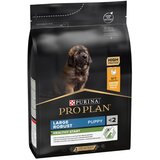 Purina PRO PLAN Large Robust Puppy Healthy Start - 3 kg | shoptok.hr