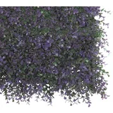 zeleni zid lavanda 1X1 2017257