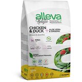 Alleva hrana za mačiće Piletina 10kg Kitten Holistic ALP02273H
