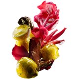 L´Oréal Paris Serie Expert Vitamino Color Spectrum darilni set za zaščito barve | Shoptok.si