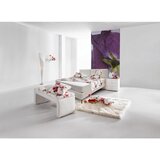 Hom`in POSTELJA Z VZMETNICO x , les, kovina | Shoptok.si